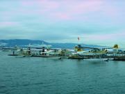 Harbour Air Fleet